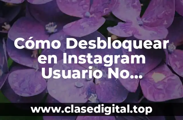 Cómo Desbloquear en Instagram Usuario No Encontrado