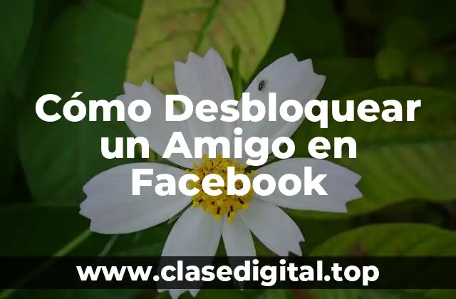 ¿Por qué Bloqueamos a Alguien en Facebook?