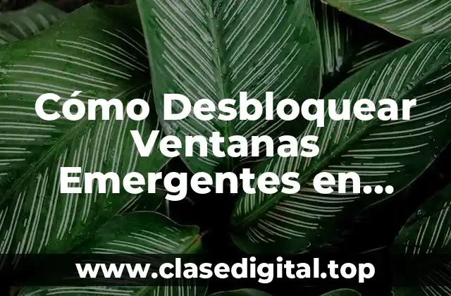 Cómo Desbloquear Ventanas Emergentes en Chrome