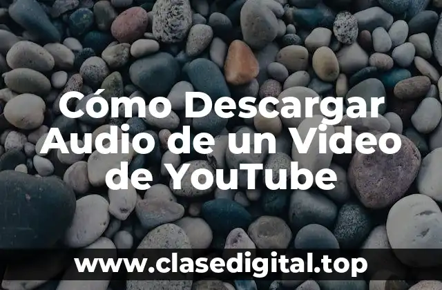 Cómo Descargar Audio de un Video de YouTube