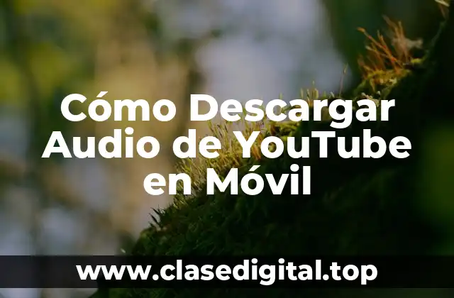 ¿Por qué Descargar Audio de YouTube en Móvil es Importante?