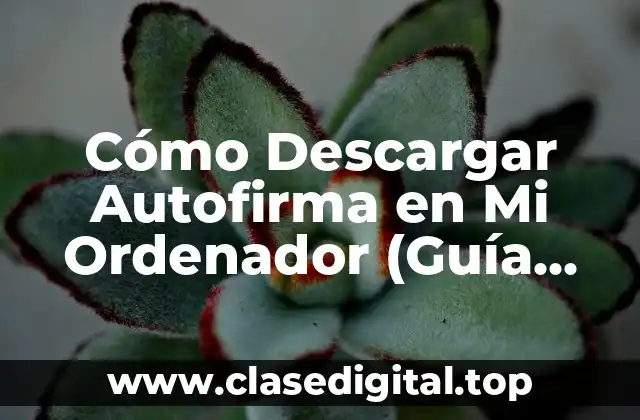 Cómo Descargar Autofirma en Mi Ordenador (Guía Paso a Paso)