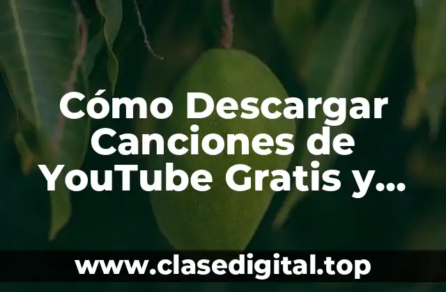 Cómo Descargar Canciones de YouTube Gratis y Seguro