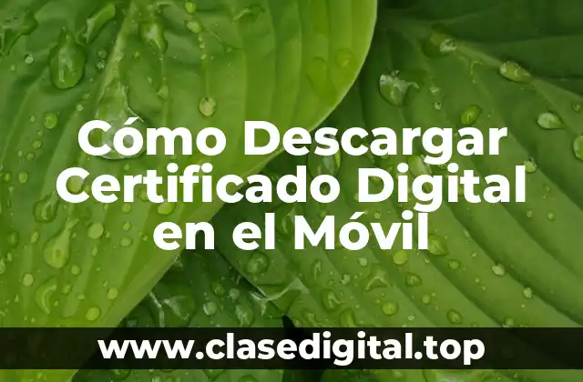 ¿Qué es un Certificado Digital?