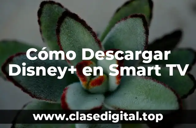 Cómo Descargar Disney+ en Smart TV