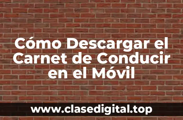 Cómo Descargar el Carnet de Conducir en el Móvil