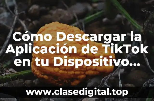 ¿Cuáles son los Requisitos Mínimos para Descargar TikTok?