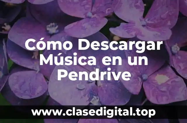 Cómo Descargar Música en un Pendrive