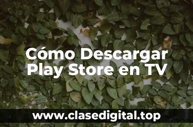 Cómo Descargar Play Store en TV