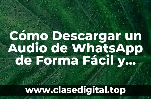 Cómo Descargar un Audio de WhatsApp de Forma Fácil y Segura