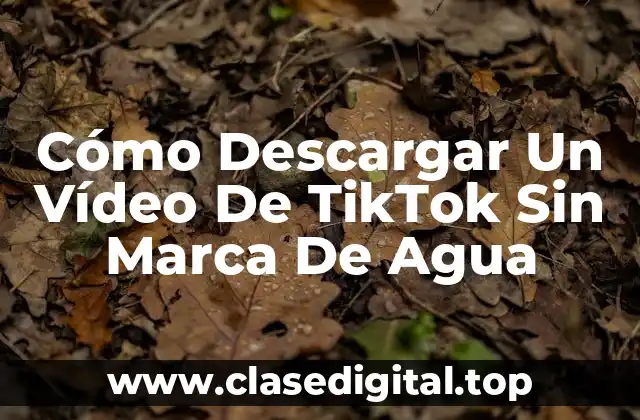 Cómo Descargar Un Vídeo De TikTok Sin Marca De Agua