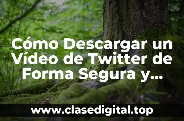 Cómo Descargar un Vídeo de Twitter de Forma Segura y Gratuita