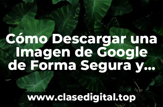 ¿Por qué es Importante Descargar Imágenes de Forma Segura?