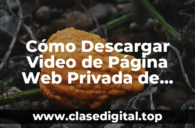 Cómo Descargar Video de Página Web Privada de Forma Segura y Legal