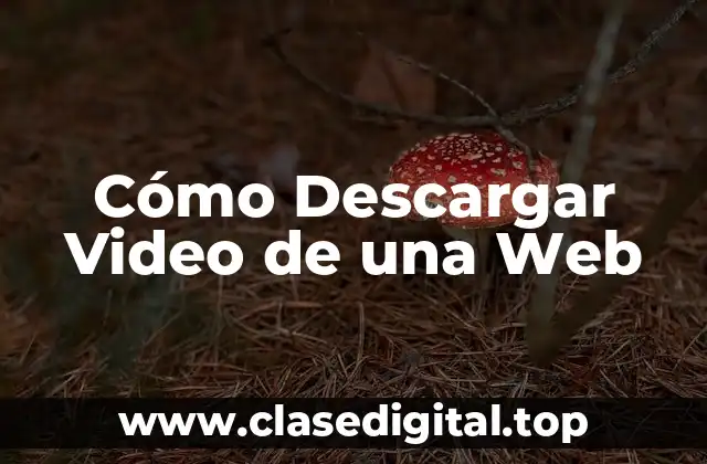 Cómo Descargar Video de una Web