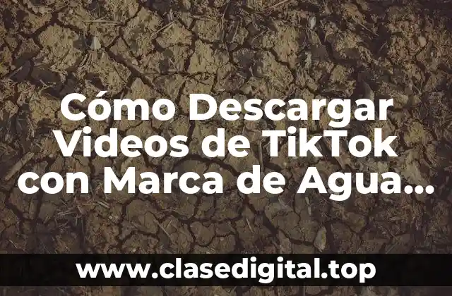 Cómo Descargar Videos de TikTok con Marca de Agua sin Watermark