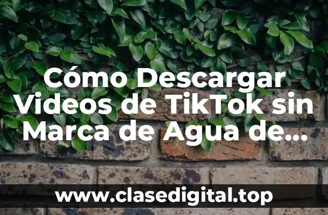 Cómo Descargar Videos de TikTok sin Marca de Agua de Forma Gratuita y Segura