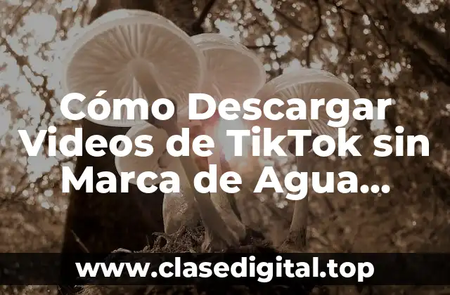 Cómo Descargar Videos de TikTok sin Marca de Agua Gratis
