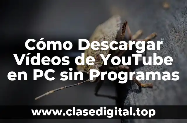 ¿Por qué Descargar Vídeos de YouTube es Importante?