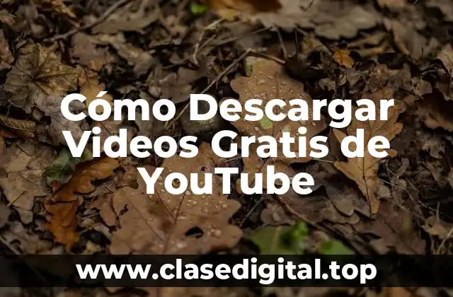Cómo Descargar Videos Gratis de YouTube
