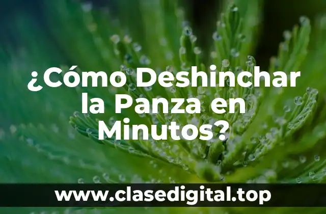 ¿Qué Causa la Hinchazón Abdominal?