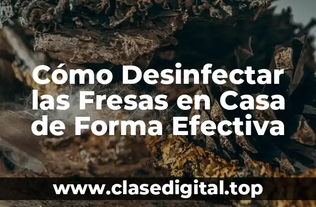 Cómo Desinfectar las Fresas en Casa de Forma Efectiva