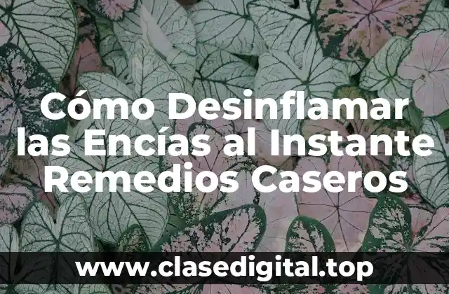Cómo Desinflamar las Encías al Instante Remedios Caseros