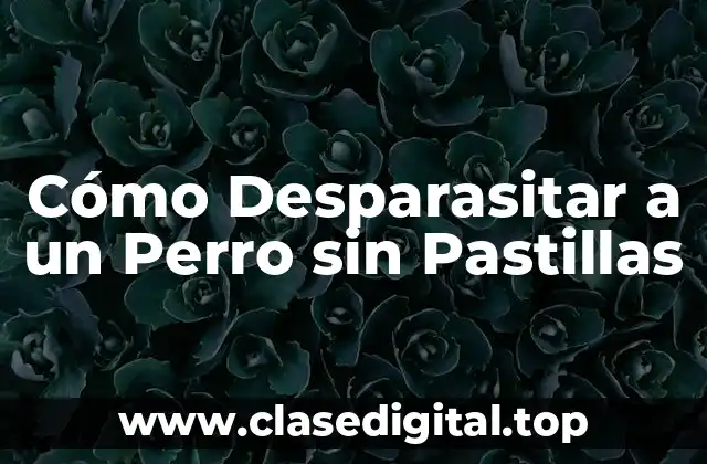 Cómo Desparasitar a un Perro sin Pastillas