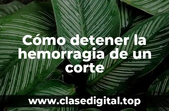 Cómo detener la hemorragia de un corte