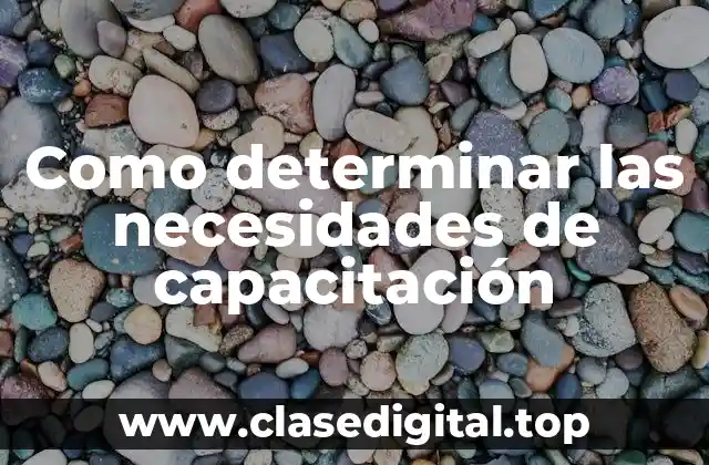 Ejemplos de necesidades de capacitación
