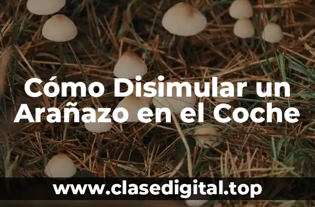 Cómo Disimular un Arañazo en el Coche