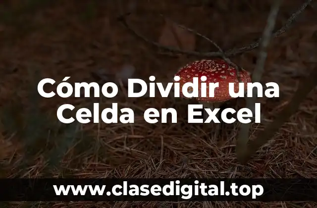 Cómo Dividir una Celda en Excel