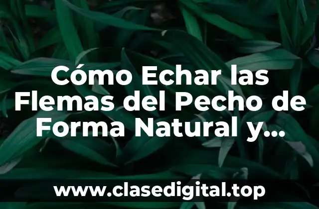 Causas de la Tos con Flemas