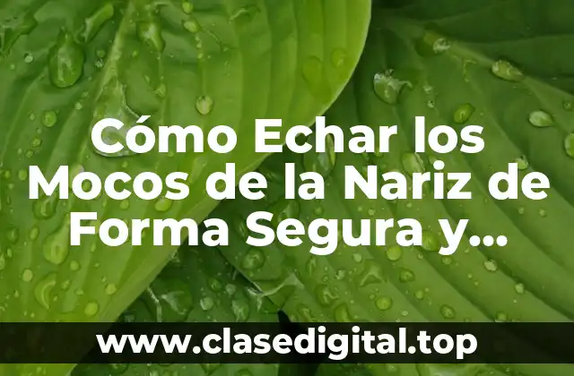 Cómo Echar los Mocos de la Nariz de Forma Segura y Higiénica