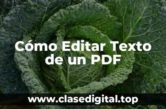 Cómo Editar Texto de un PDF