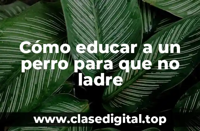 Cómo educar a un perro para que no ladre