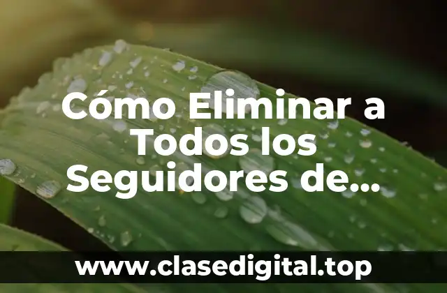 Cómo Eliminar a Todos los Seguidores de TikTok de una Vez