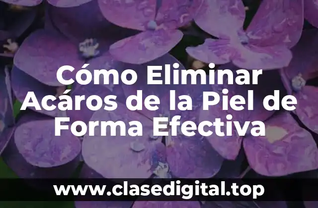 Cómo Eliminar Acáros de la Piel de Forma Efectiva