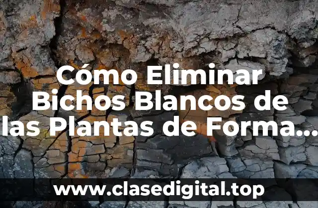 Identificando los Bichos Blancos en las Plantas