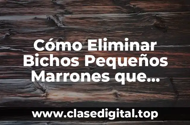 Cómo Eliminar Bichos Pequeños Marrones que Vuelan en Casa