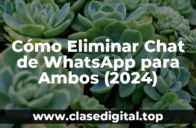 ¿Por qué Eliminar un Chat de WhatsApp para Ambos es Útil?
