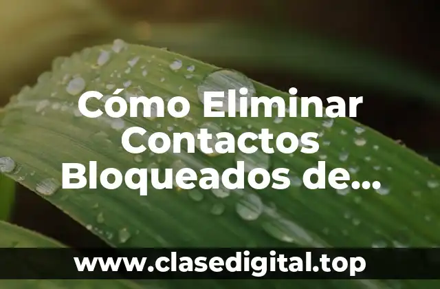 Cómo Eliminar Contactos Bloqueados de WhatsApp de Forma Permanente