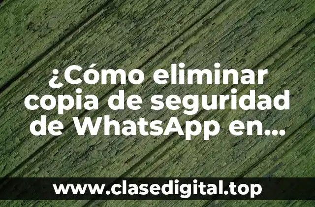 ¿Cómo eliminar copia de seguridad de WhatsApp en Android y iPhone?