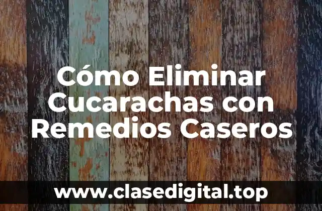 Cómo Eliminar Cucarachas con Remedios Caseros