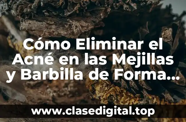 Causas del Acné en las Mejillas y Barbilla