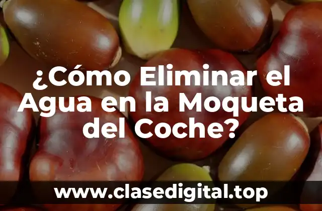 ¿Cómo Eliminar el Agua en la Moqueta del Coche?