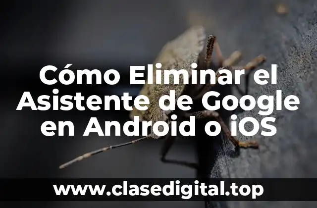 Cómo Eliminar el Asistente de Google en Android o iOS