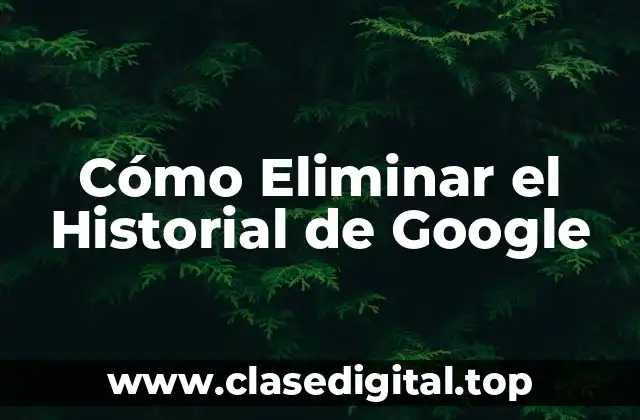 ¿Por qué Es Importante Eliminar el Historial de Google?