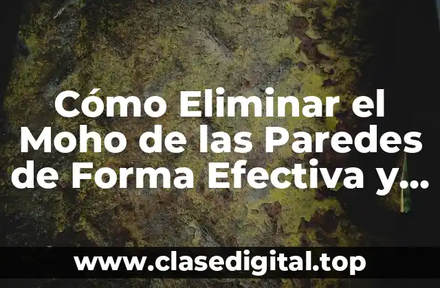Cómo Eliminar el Moho de las Paredes de Forma Efectiva y Segura