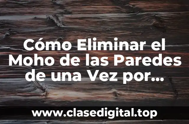 Cómo Eliminar el Moho de las Paredes de una Vez por Todas